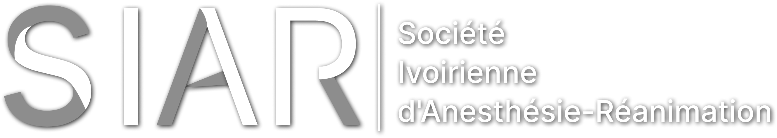 Logo SAIR